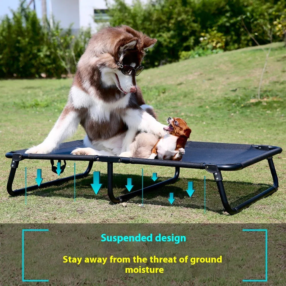 Folding steel frame dog camp bed with mesh platform and removable mattress
