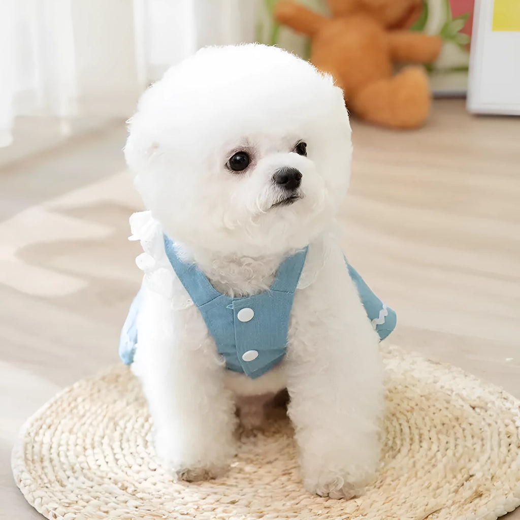 Bondi Blue denim dog skirt with strawberry embroidery on model dog