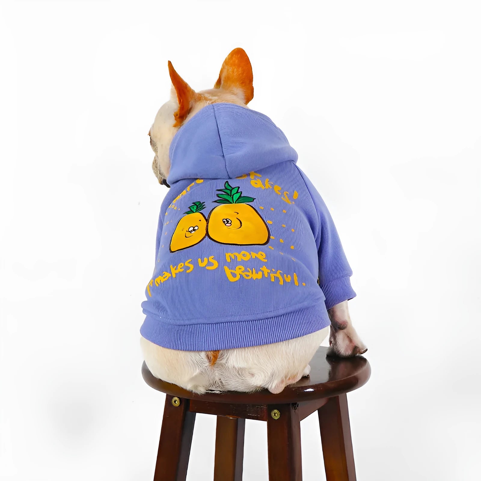Blue and purple cartoon print cotton plush dog hoodie for winter wear.