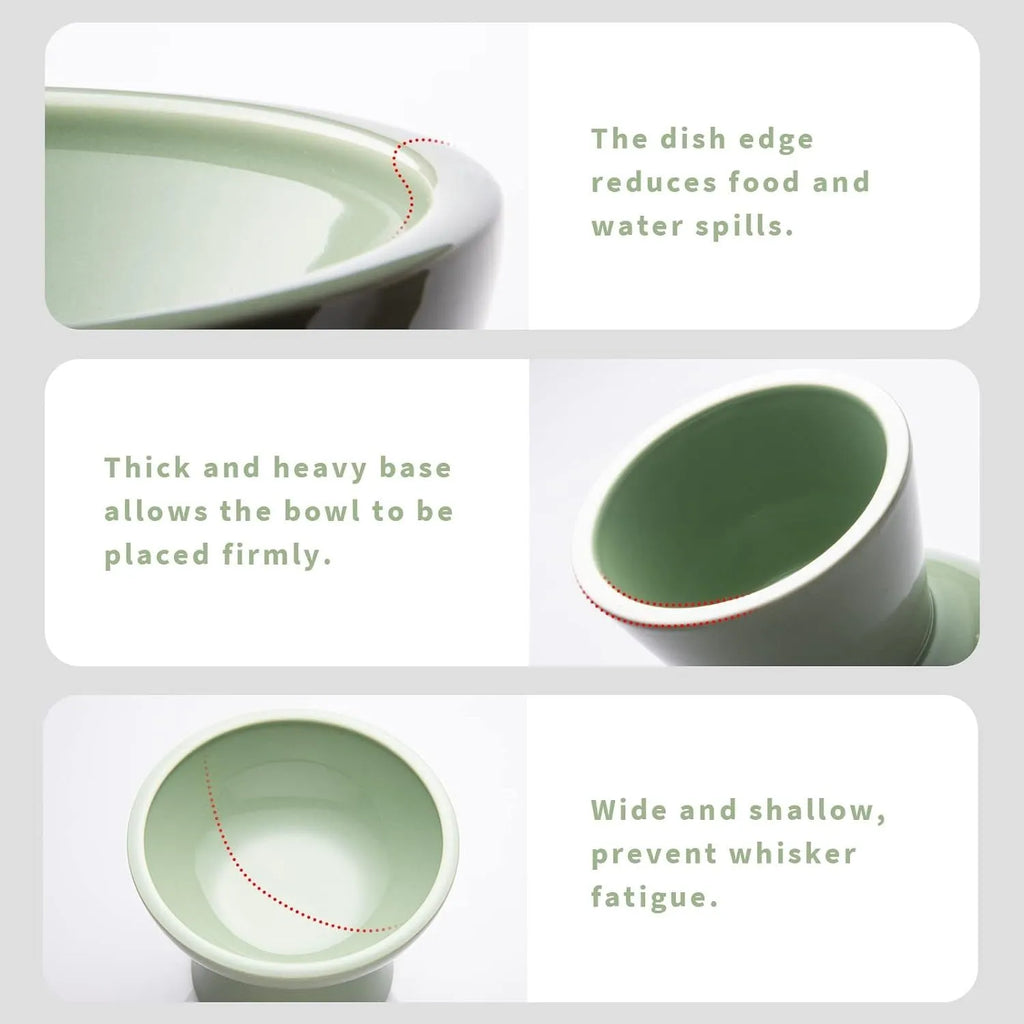 Blue elevated ceramic cat food bowl on a white surface