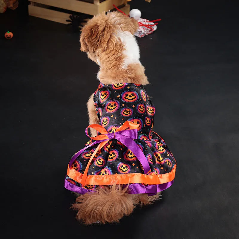 Halloween double-layer pet skirt for dogs in colourful pumpkin print on a model dog.