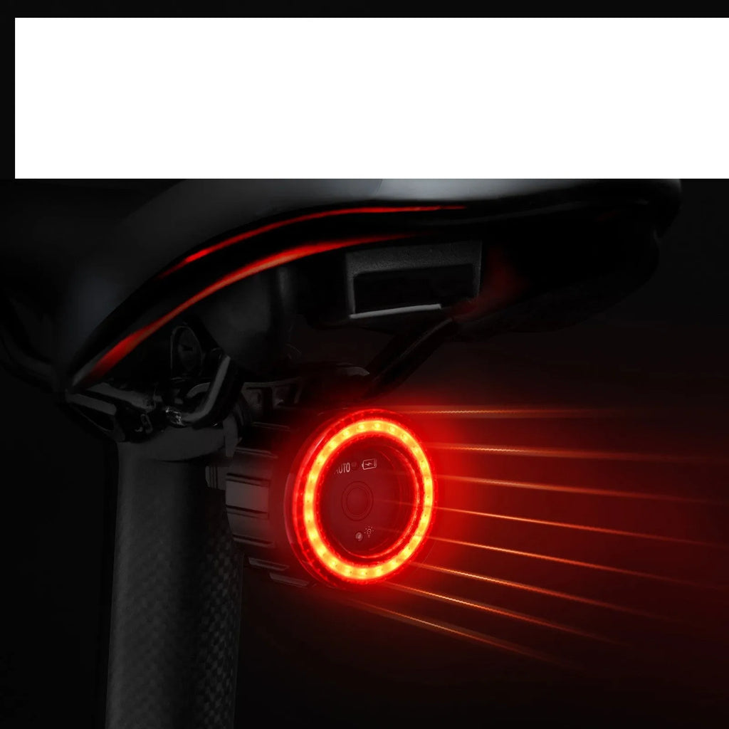 Black intelligent induction brake taillight for bicycles with aluminium alloy housing and seat tube bracket.