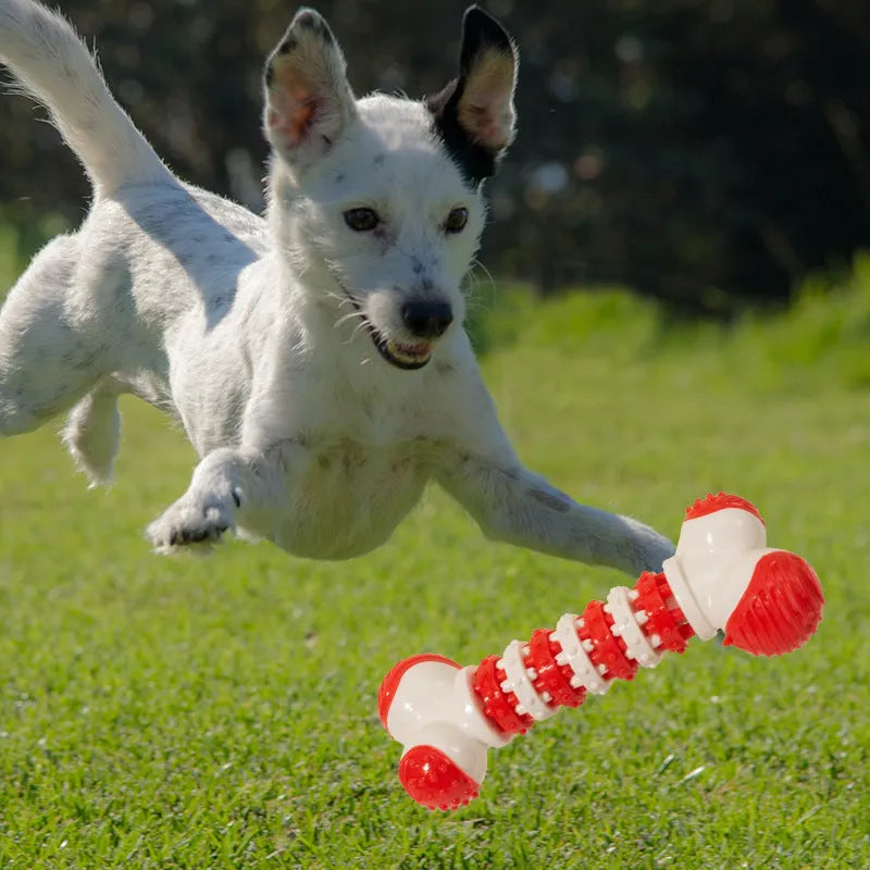Blue bone-shaped interactive dog toy for small breeds with treat holder and chewable ends