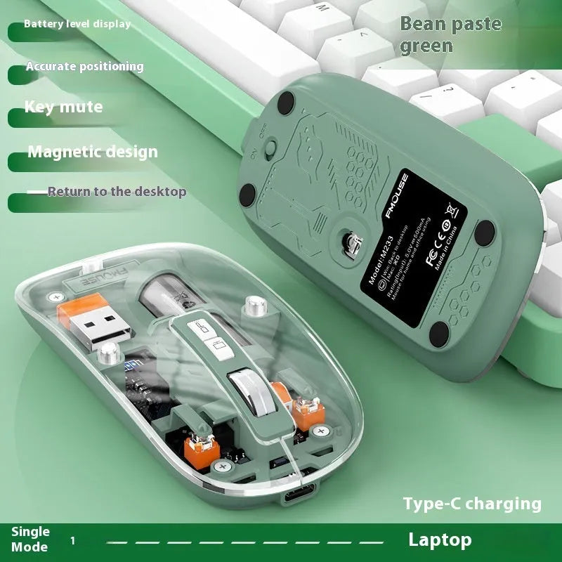 Transparent wireless computer mouse with self-charging feature in various colours