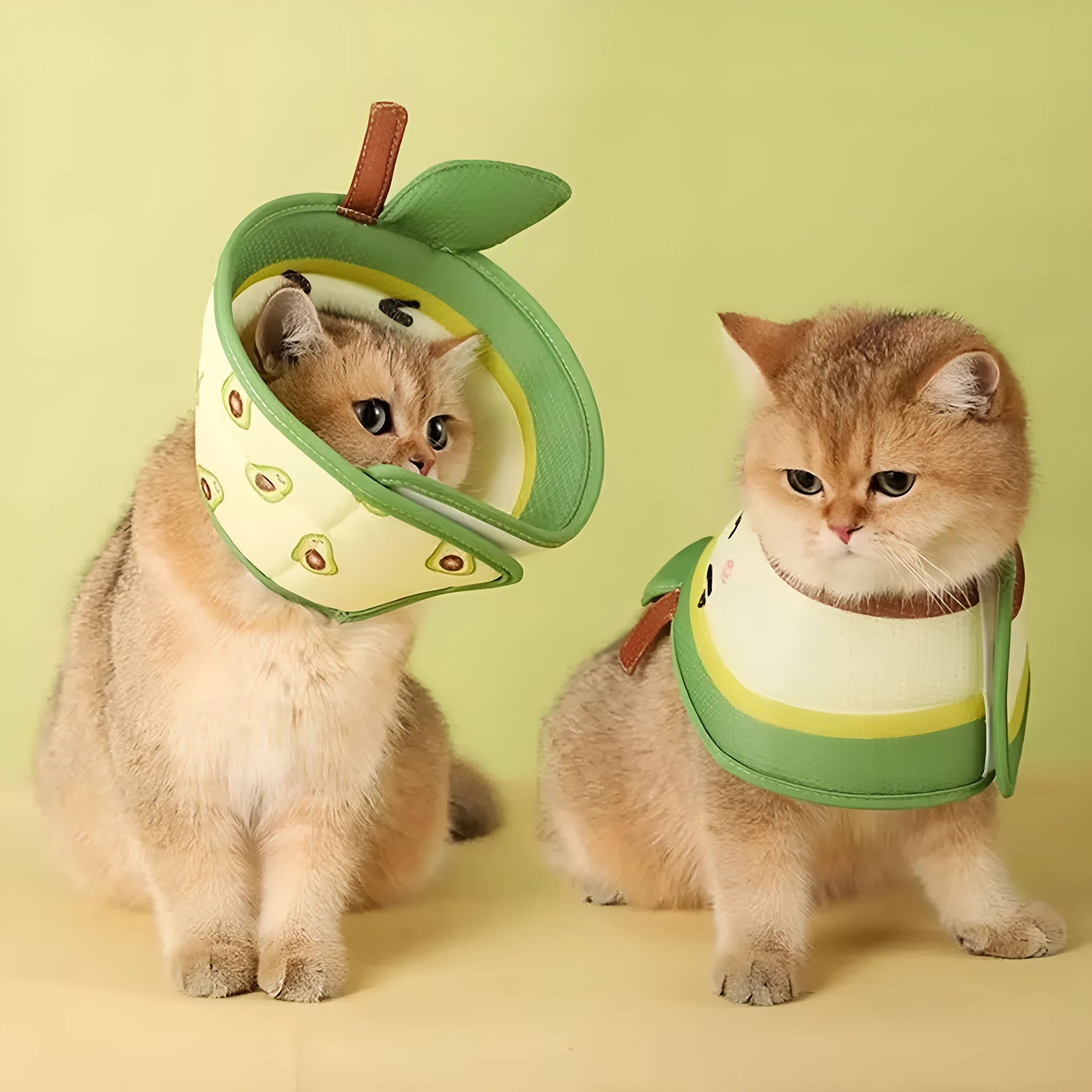 Soft EPE foam cat cone collar with adjustable strap for post-surgery recovery protection