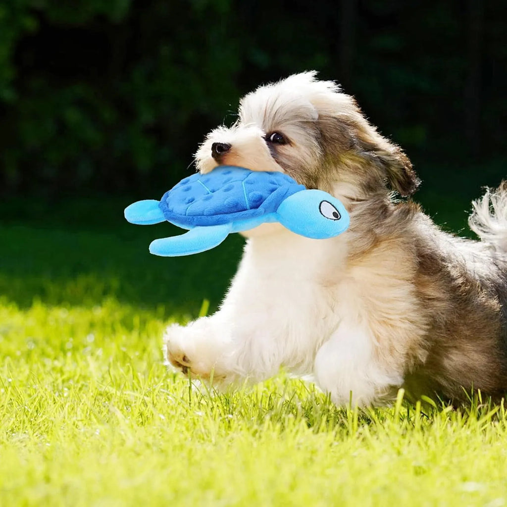 Blue, green, purple, and yellow sea turtle plush dog toy with squeaker for small dogs.