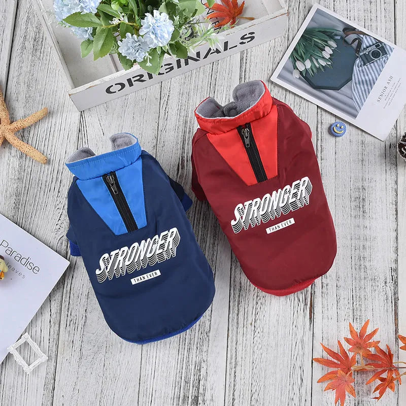 Red V-shaped splicing cotton coat for a dog, showing casual style and thick construction.