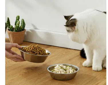 A stainless steel pet bowl for cats and dogs, shown in one of five available sizes.
