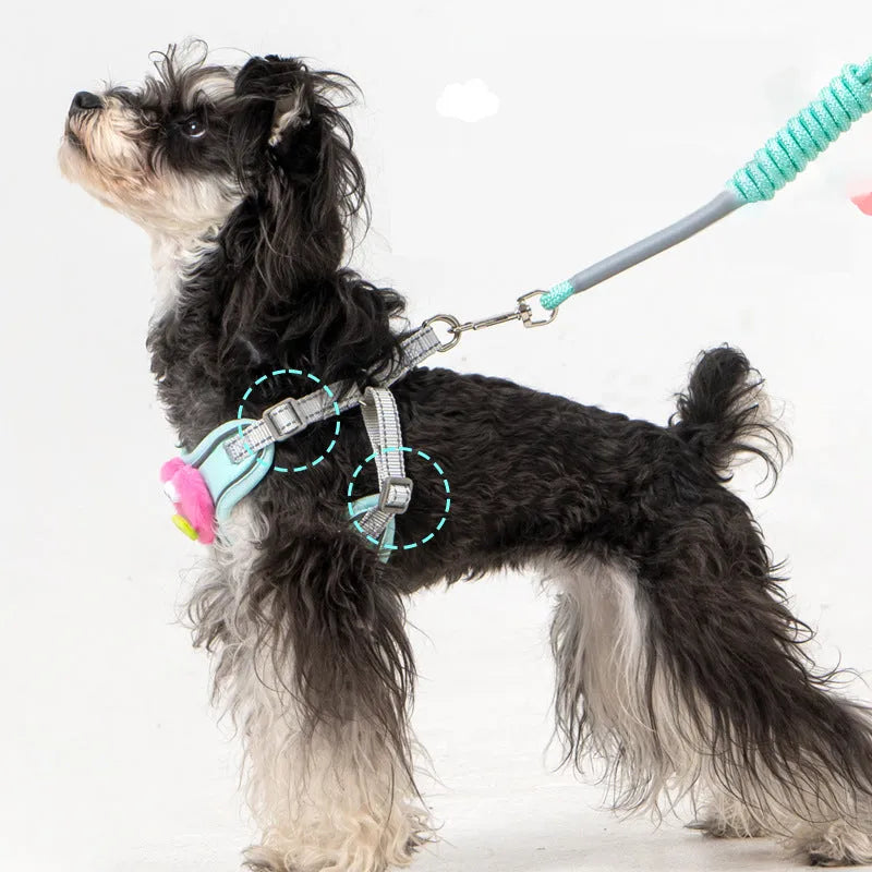 No pull dog harness with leash in blue, soft adjustable escape proof vest for medium dogs with reflective stitching