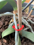 Green plastic cat-shaped plant clip holding a vine against a wooden stake.