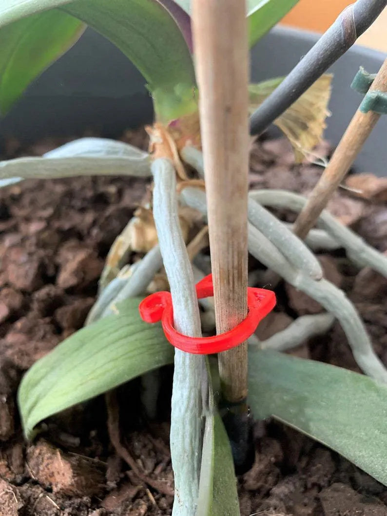 Green plastic cat-shaped plant clip holding a vine against a wooden stake.
