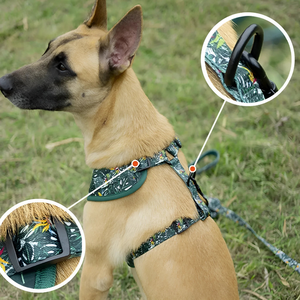 Adjustable cloth dog harness set with six pieces including waste bag and accessories in three size options