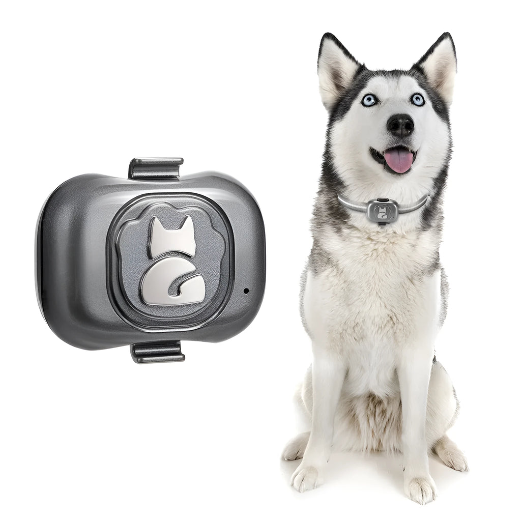 Black GF-07 pet GPS locator with hanging rope attached, shown next to a data cable on a white background