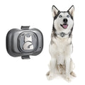 Black GF-07 pet GPS locator with hanging rope attached, shown next to a data cable on a white background