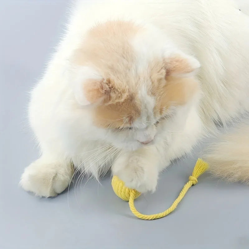 Cat toy ball with integrated rope and bell in green pink purple yellow colours
