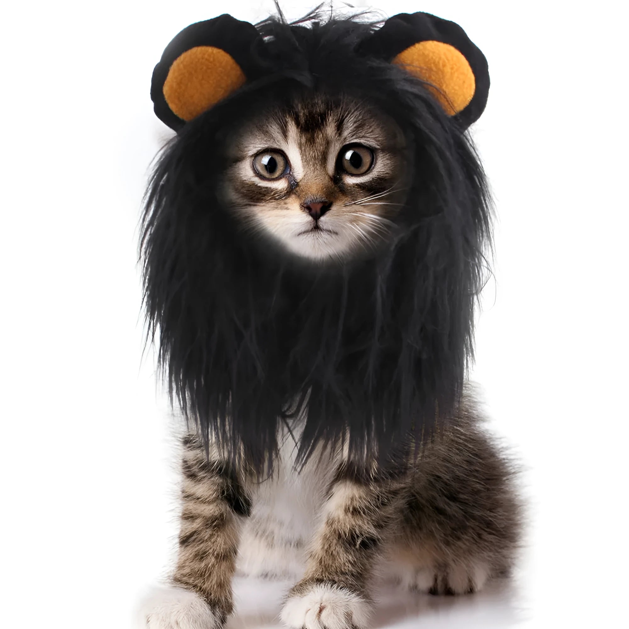 Black and white lion headgear wig hats for cats in three different sizes