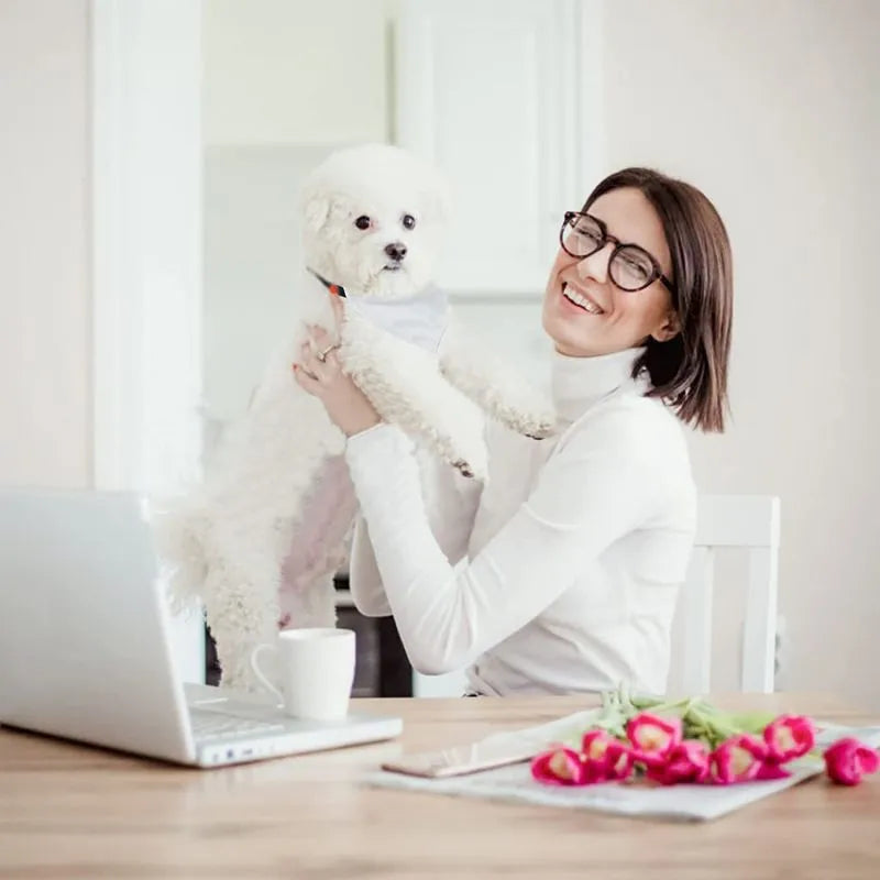 White polyester dog scarf for thermal transfer customisation in S, M, L, and XL sizes