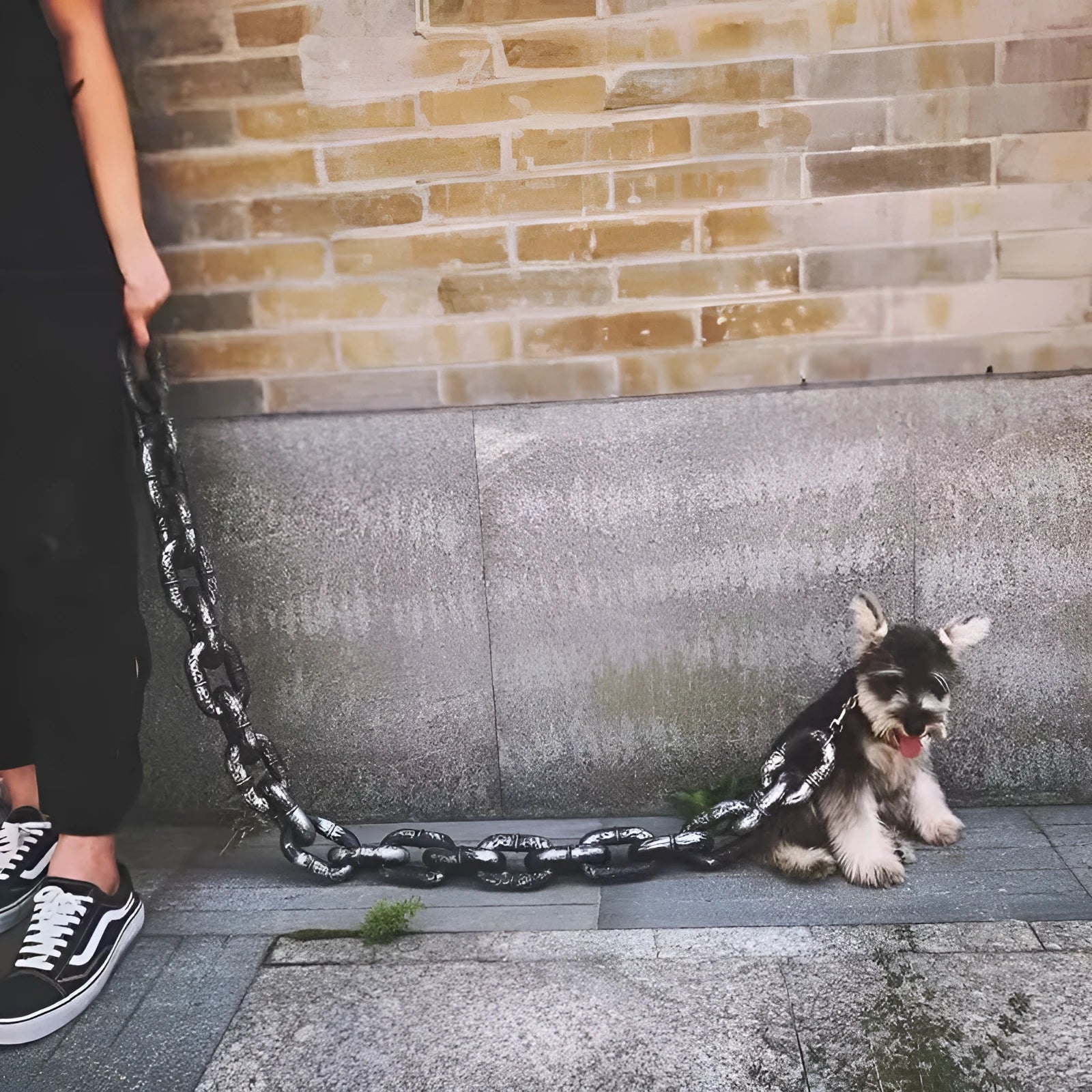 PP plastic novelty dog leash hand rope prop in bronze, antique silver, or black colours on a white background.