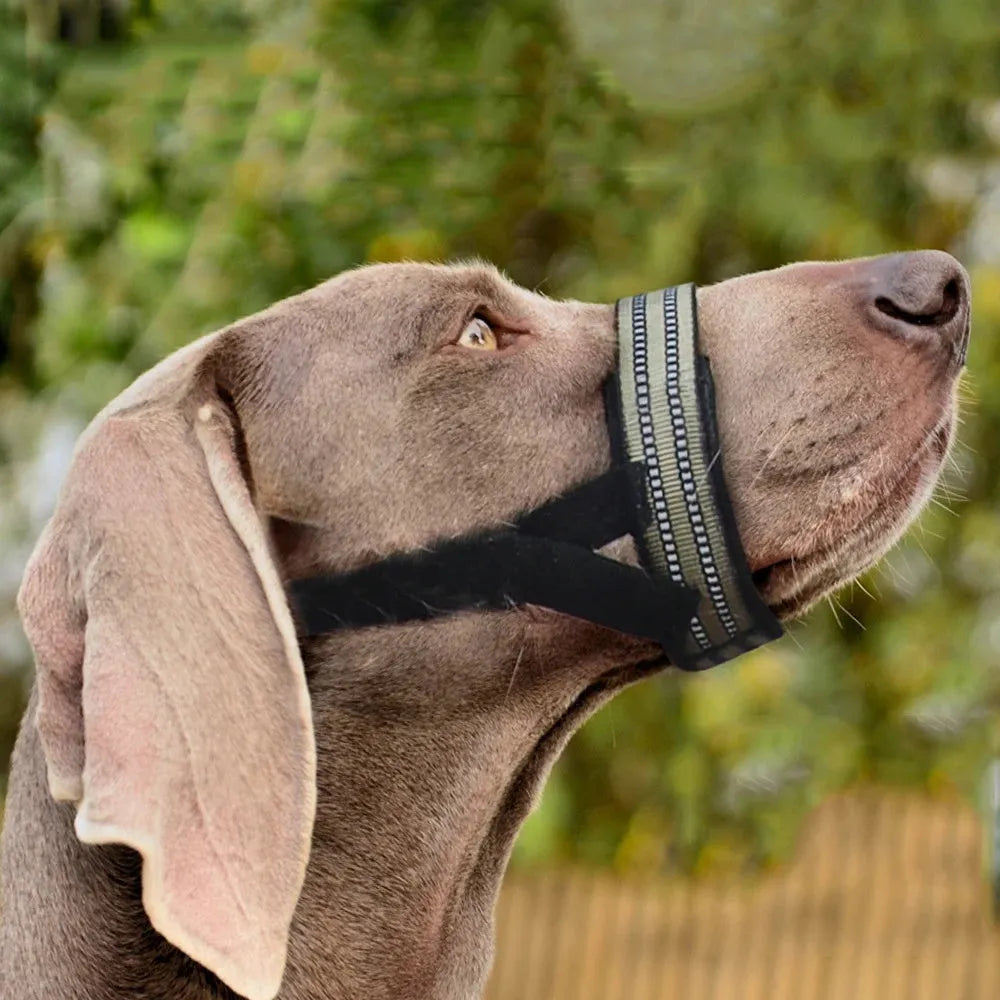 Adjustable anti-biting dog muzzle with reflective trim for medium and large breeds