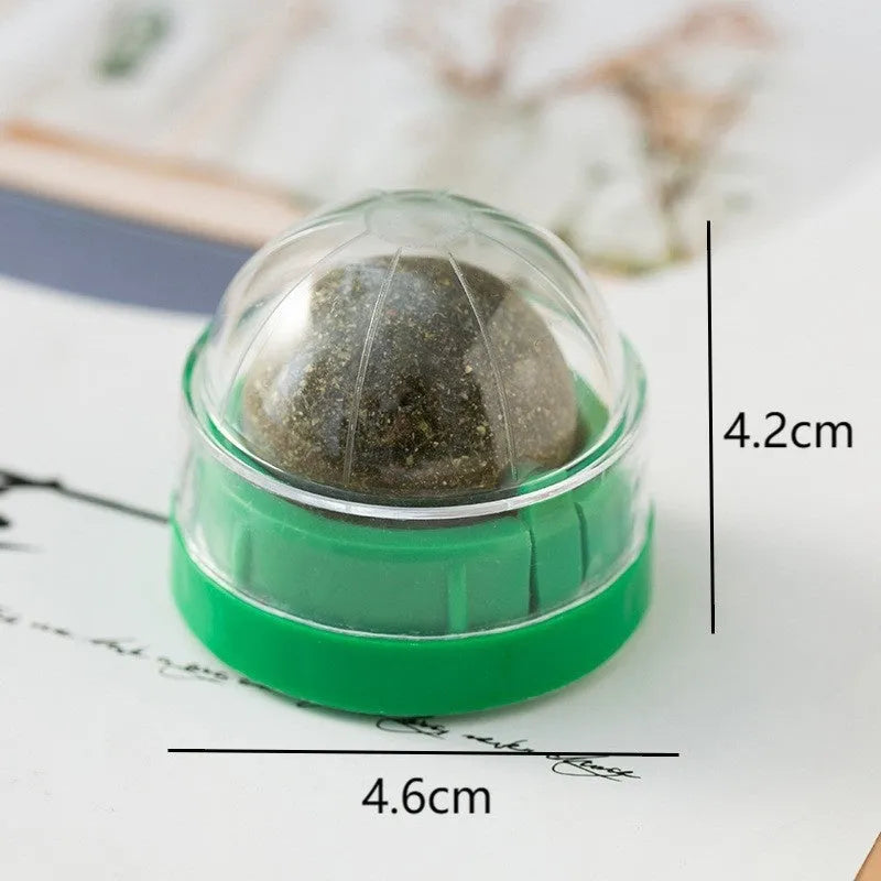 Colourful plastic cat toy ball with textured dental cleaning ridges and catnip infusion