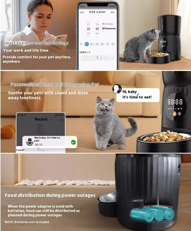 Black and white automatic pet feeder with smartphone app showing feeding schedule