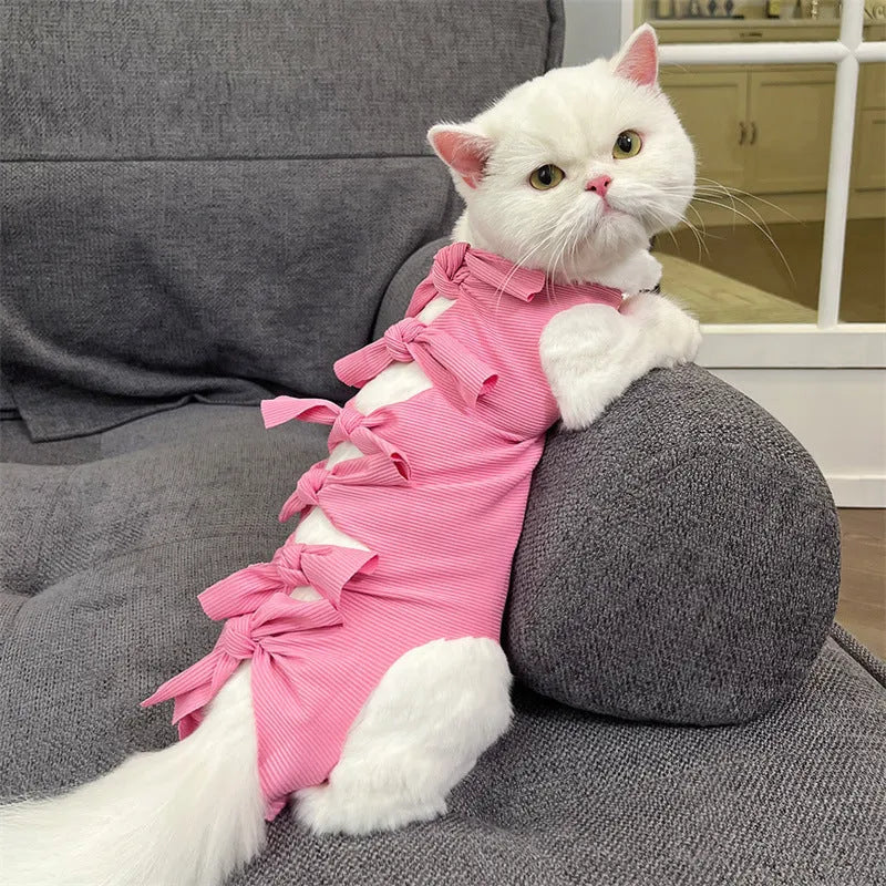 Lace-up polyester recovery clothing for a cat, shown in a choice of colours including blue, pink, and green pineapple.