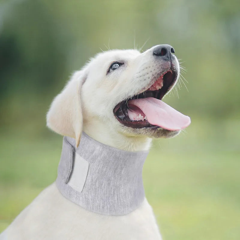 Soft grey and pink cat recovery cone collar showing four size options for post-surgery support
