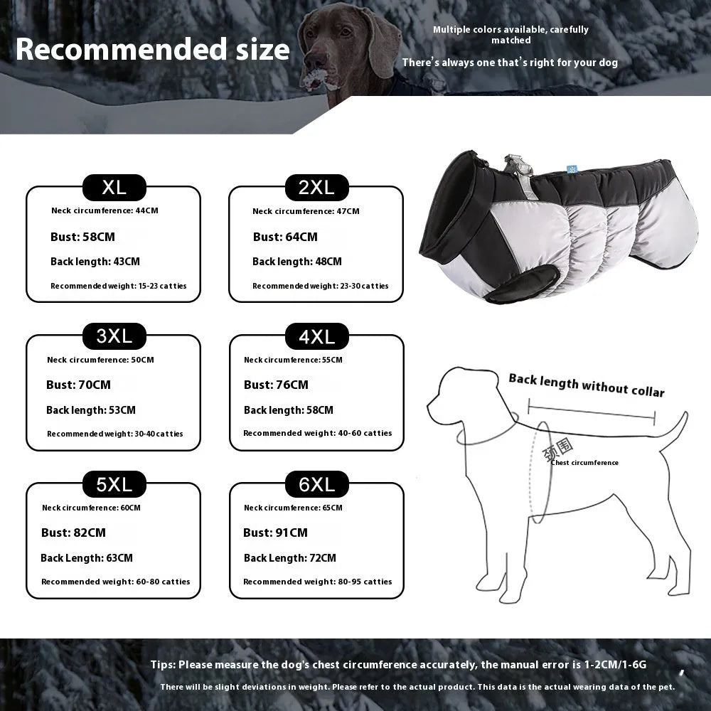 Large dog wearing a reflective waterproof winter coat in rose red, showcasing the fit on a big breed.