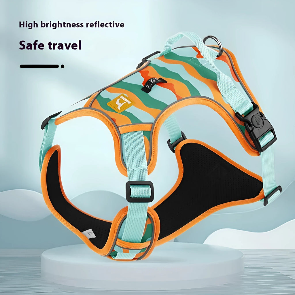 Reflective orange dog walking rope with chest and back harness held in hand