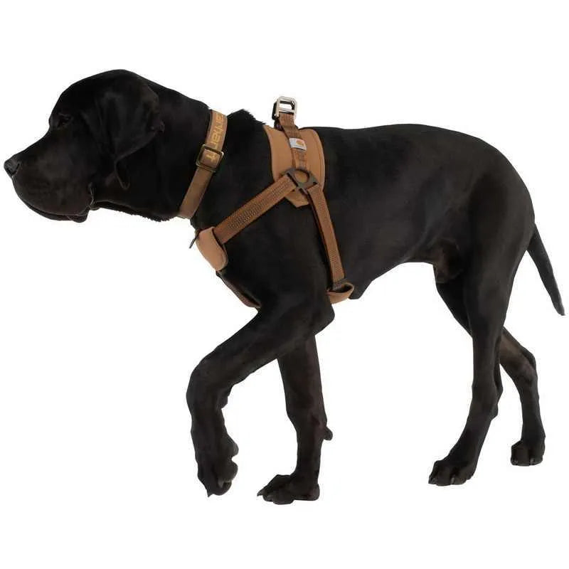 Dog chest strap training belt with reflective hand holding rope in sports style design
