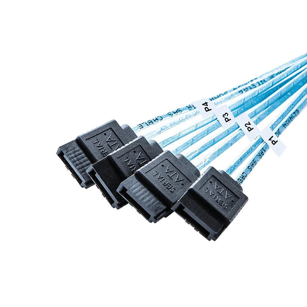 Straight head SAS data cable with coaxial interface connectors for server hard disk connections