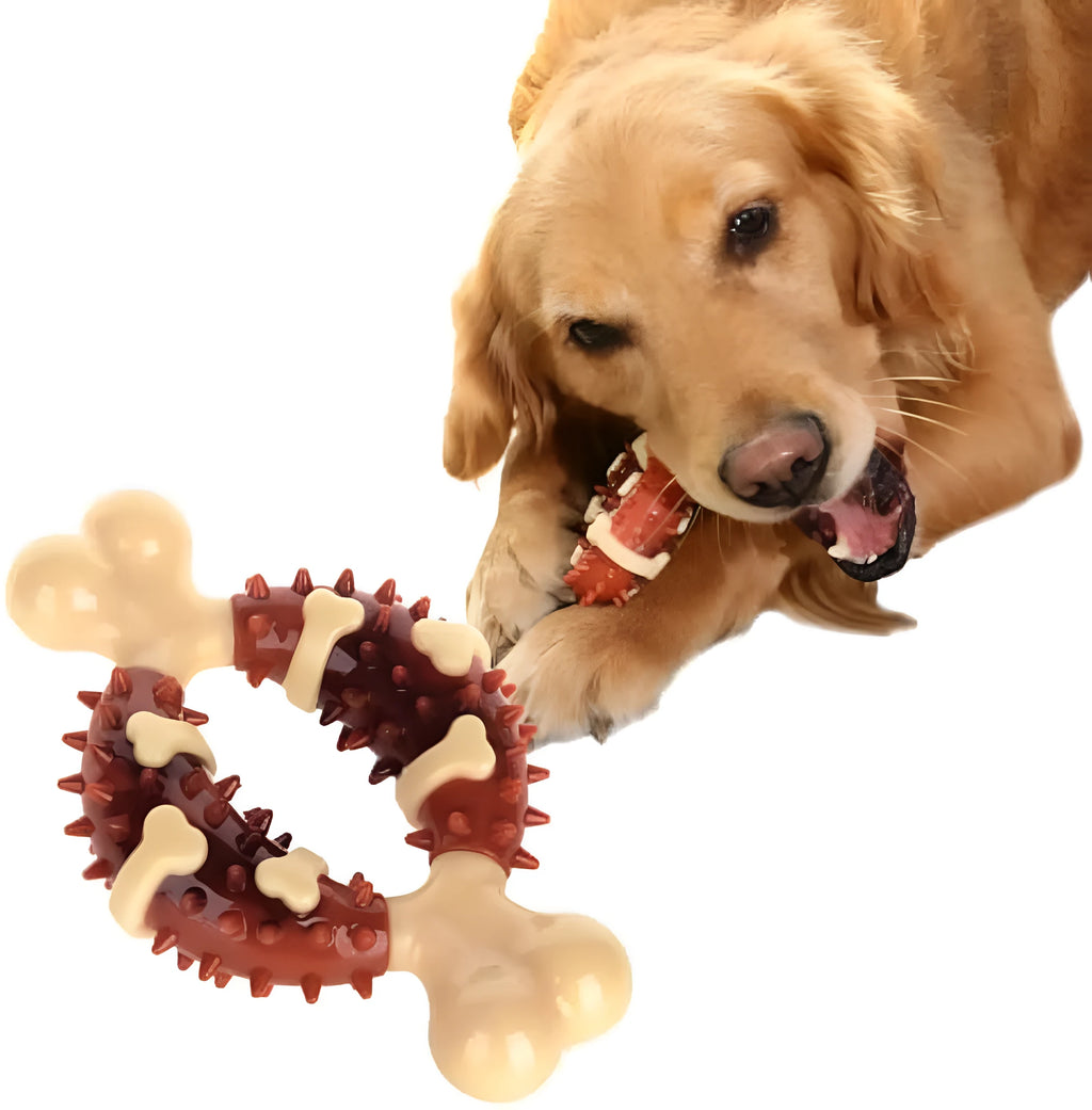 Natural rubber bone-shaped dog molar chew toy for teeth grinding in two size options