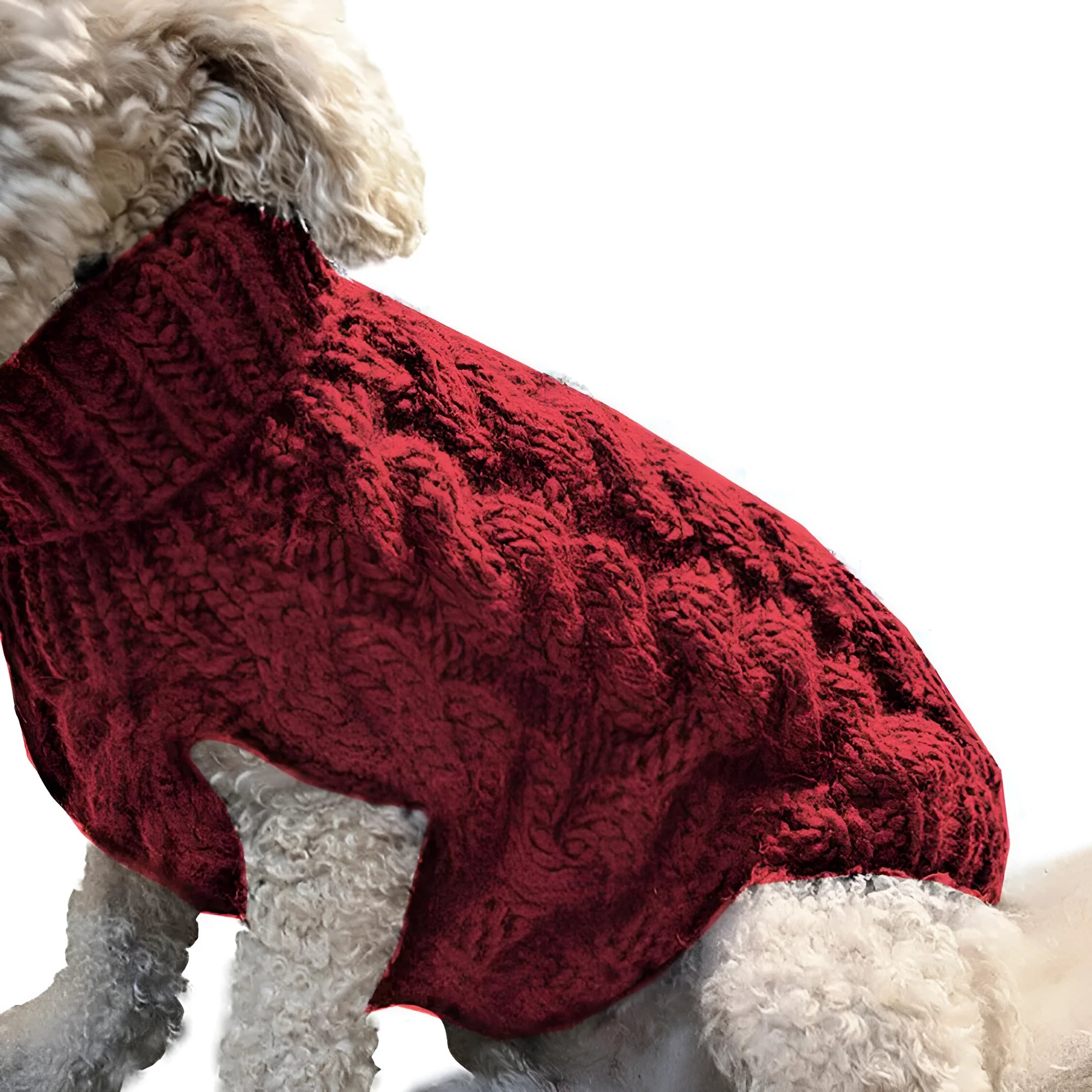 Casual acrylic dog sweater for small and medium dogs in beige on a white background
