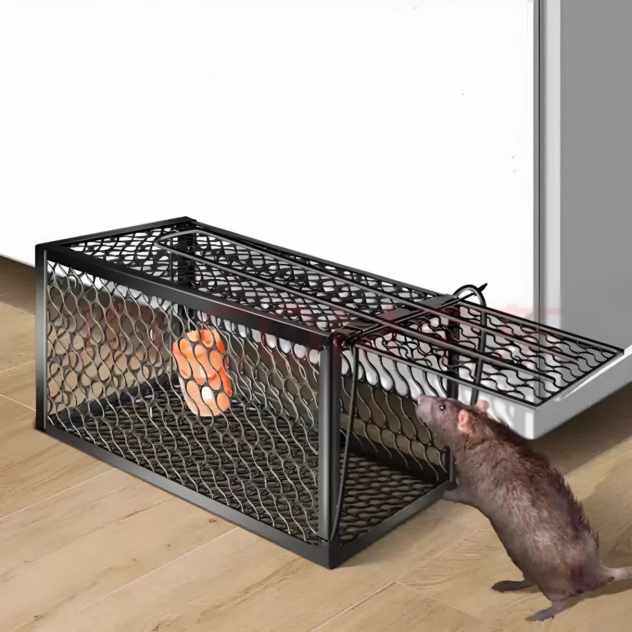 Automatic metal and plastic mouse trap cage shown in small, medium, and large sizes for indoor use.