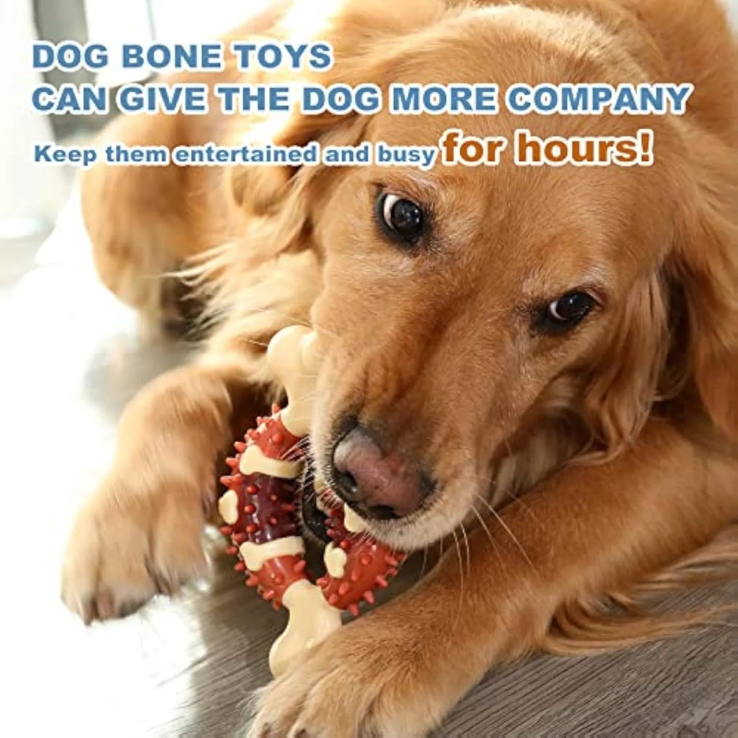 Natural rubber bone-shaped dog molar chew toy for teeth grinding in two size options