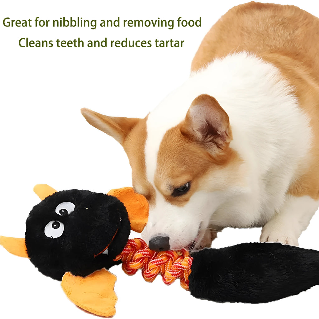 Plush dog toy with cartoon design in assorted colours showing squeaker and rope knot details