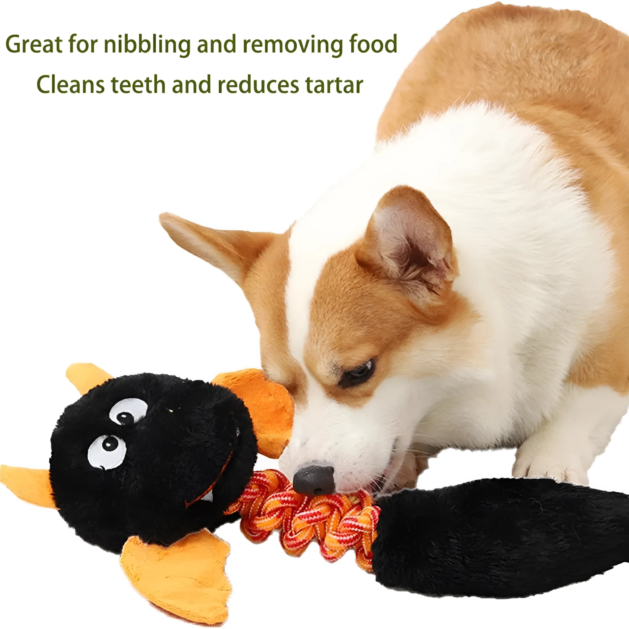 Plush dog toy with cartoon design in assorted colours showing squeaker and rope knot details