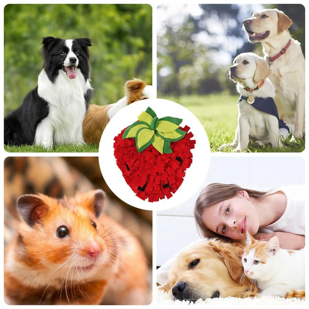 Red and green strawberry-shaped interactive slow feeder mat for pets on a floor.
