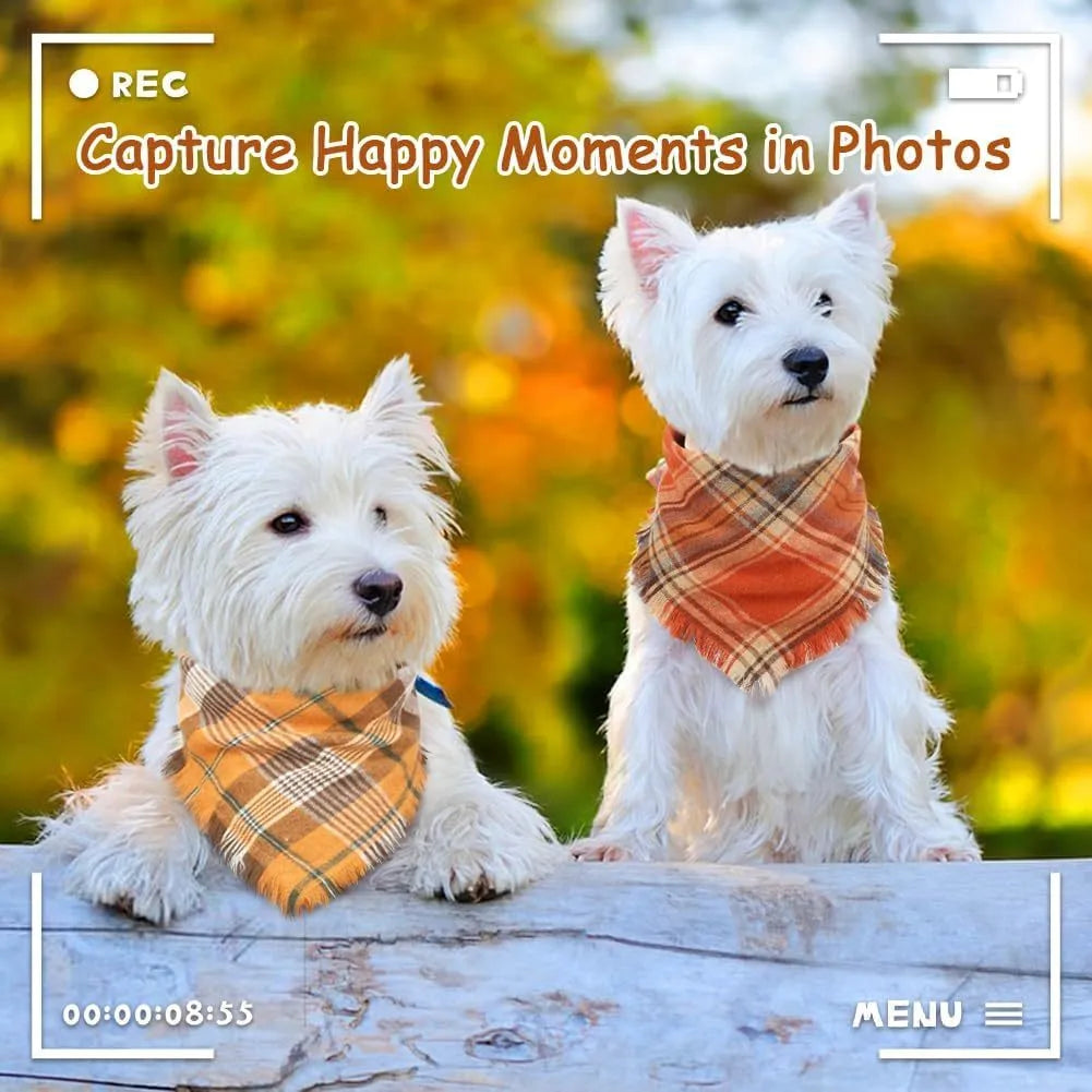 Plaid pattern dog bandana with tassels in autumn colours on pet collar