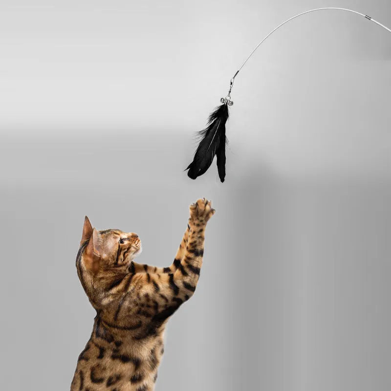 White telescopic cat fishing rod extended with goose feather lure and removable pen attachment