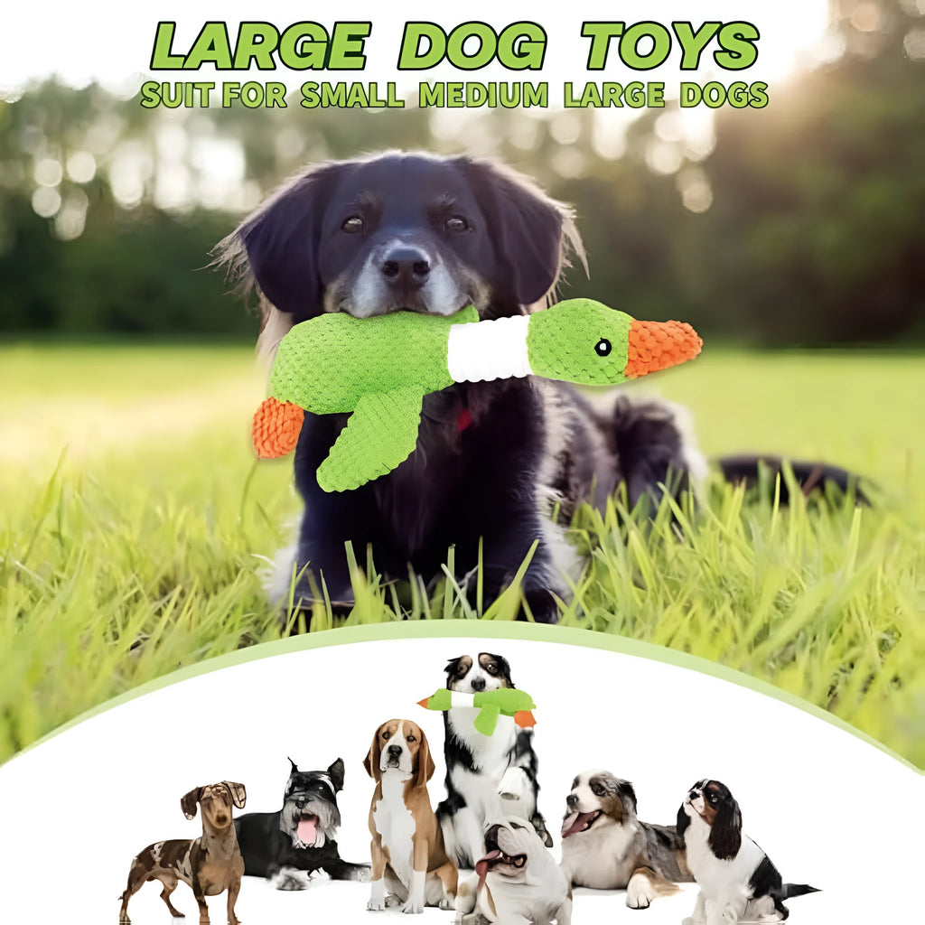 Blue duck-shaped dog plush toy with squeaker on a plain background