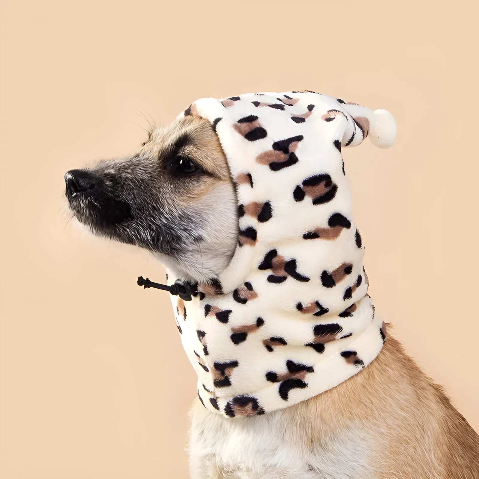 Cloth bear headdress with rabbit ears pet hat for dogs and cats in leopard print