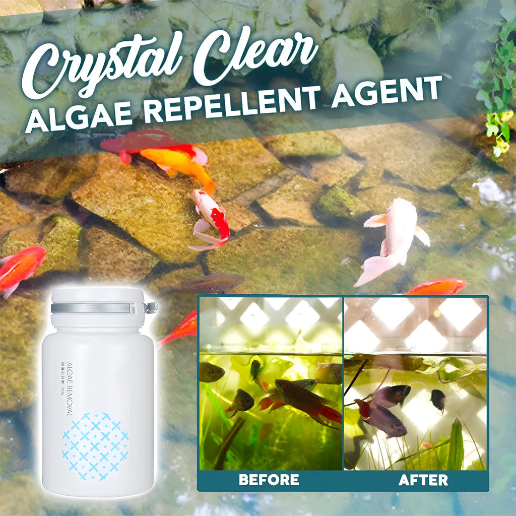 50g algaecide powder for swimming pool and aquarium algae control