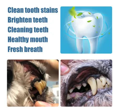 Yegbong pet teeth whitening pen dental care kit with 3ml+3ml applicator and two toothbrushes for dogs and cats