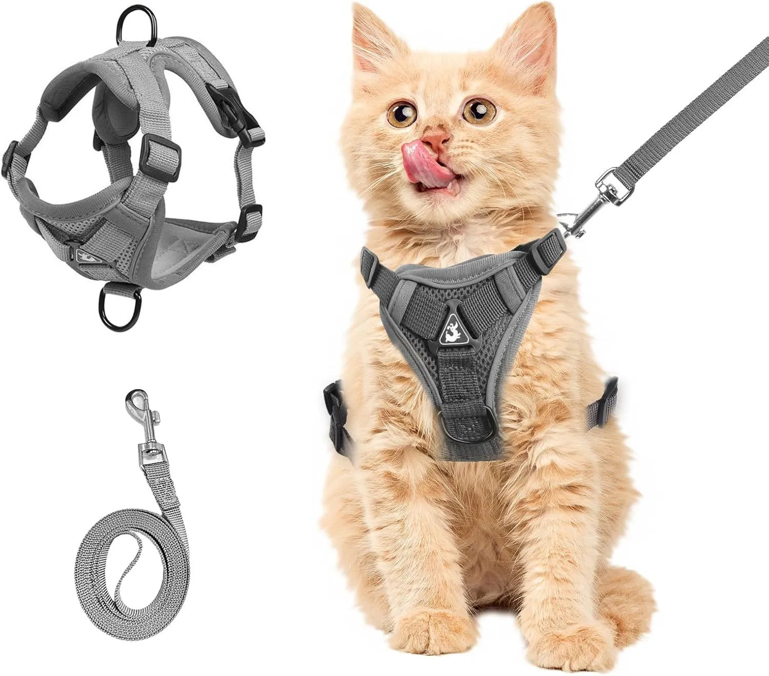 A blue mesh cat harness with adjustable straps and a leash, shown on a white background.
