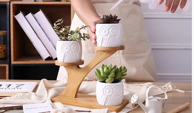 Set of three white ceramic owl planters on a bamboo tree stand for desktop display