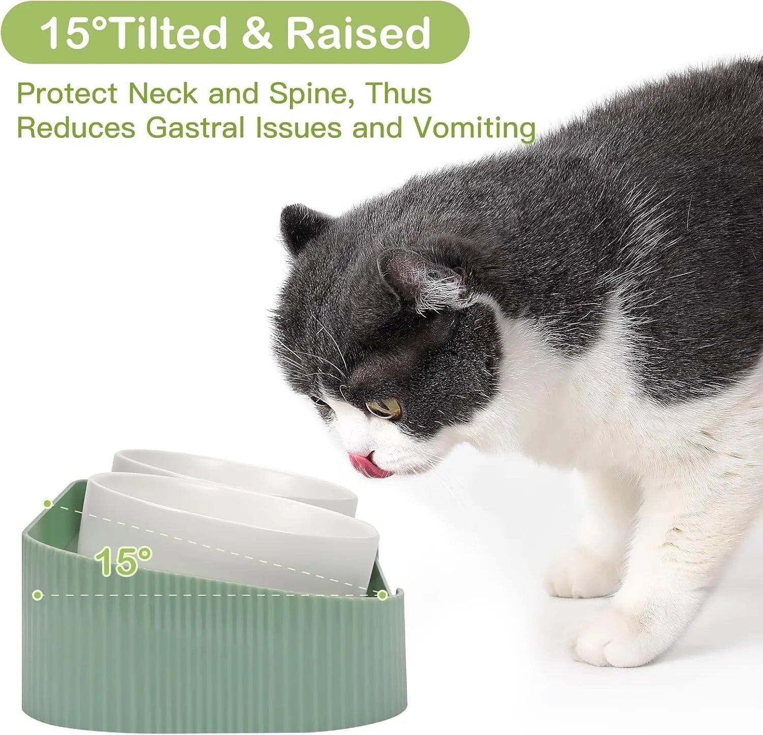 Green ceramic cat bowls on a 15-degree tilted raised stand with a non-slip base.