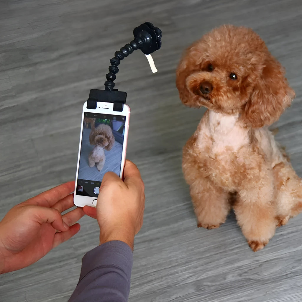 Black and white pet selfie stick with extending arm and flower clip for smartphone pet photography
