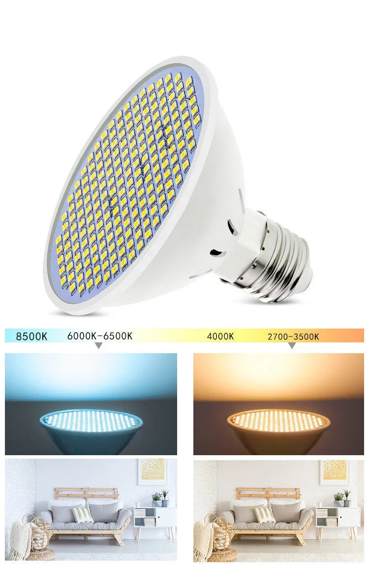 E27 screw-in LED lamp cup bulb shown in warm white and cool white options.