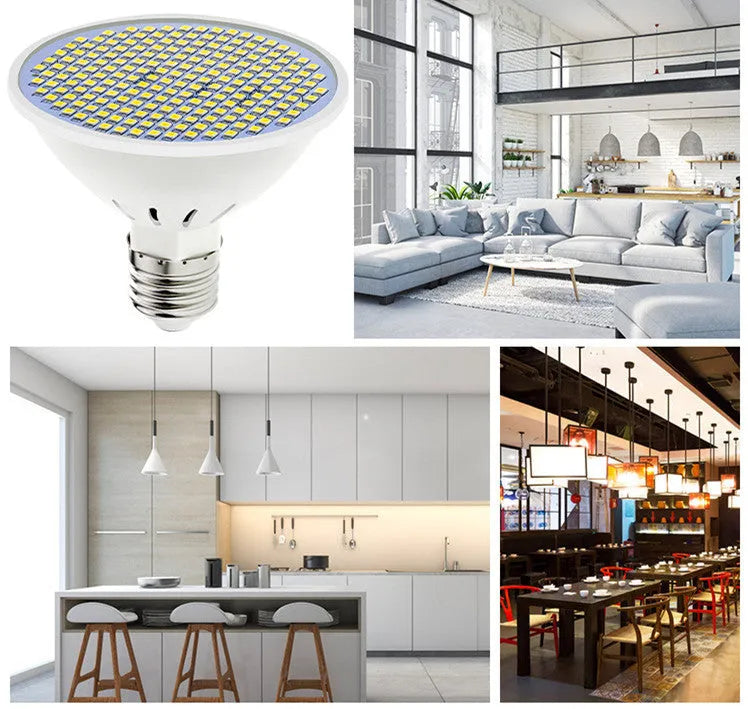 E27 screw-in LED lamp cup bulb shown in warm white and cool white options.